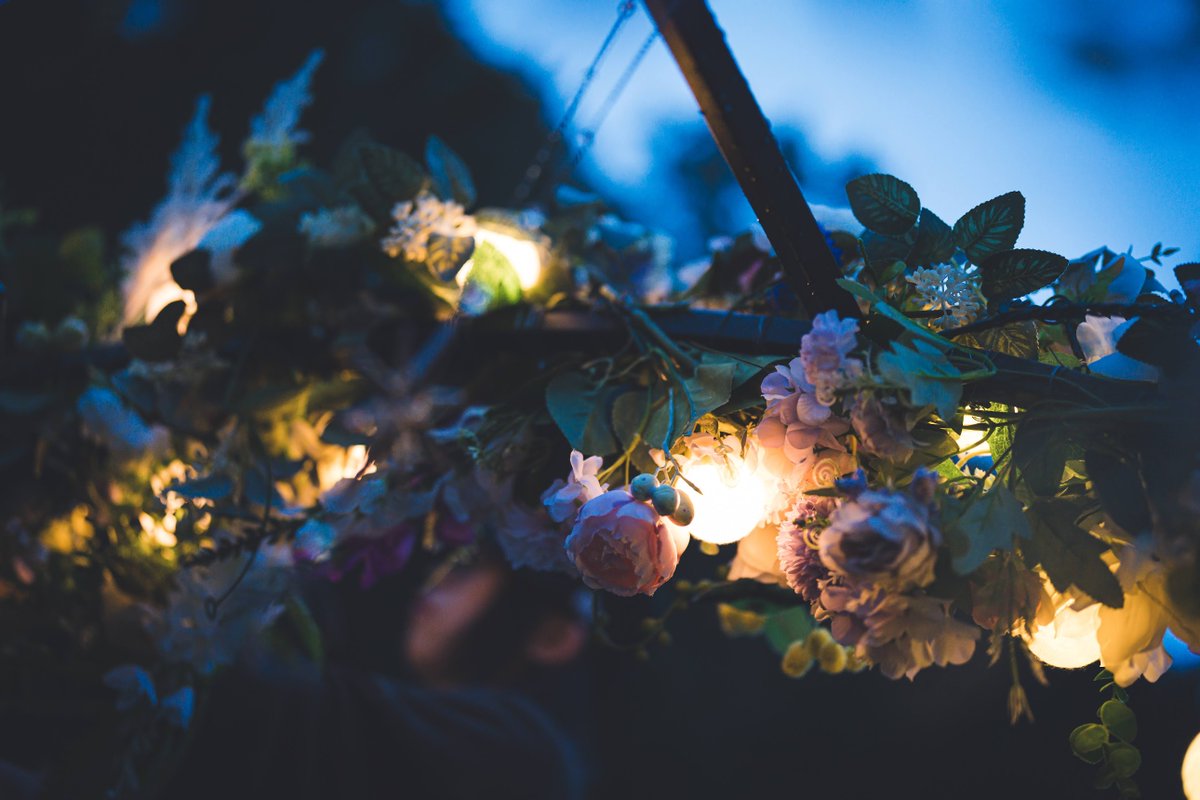 Lost & Find : open air party tweet media