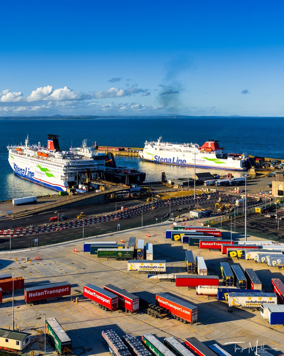 Tony Mullen Photography tweet media