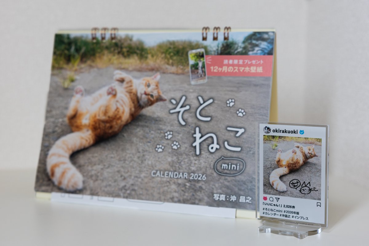 2026年の卓上カレンダーはこちら一択】 #2026年沖昌之のカレンダーは5