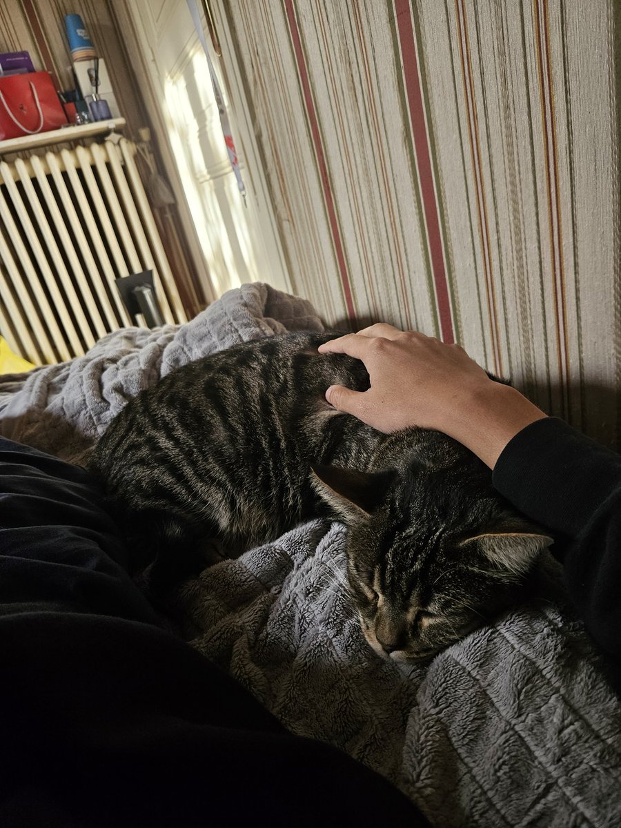 Palm grip &gt;&gt;&gt;