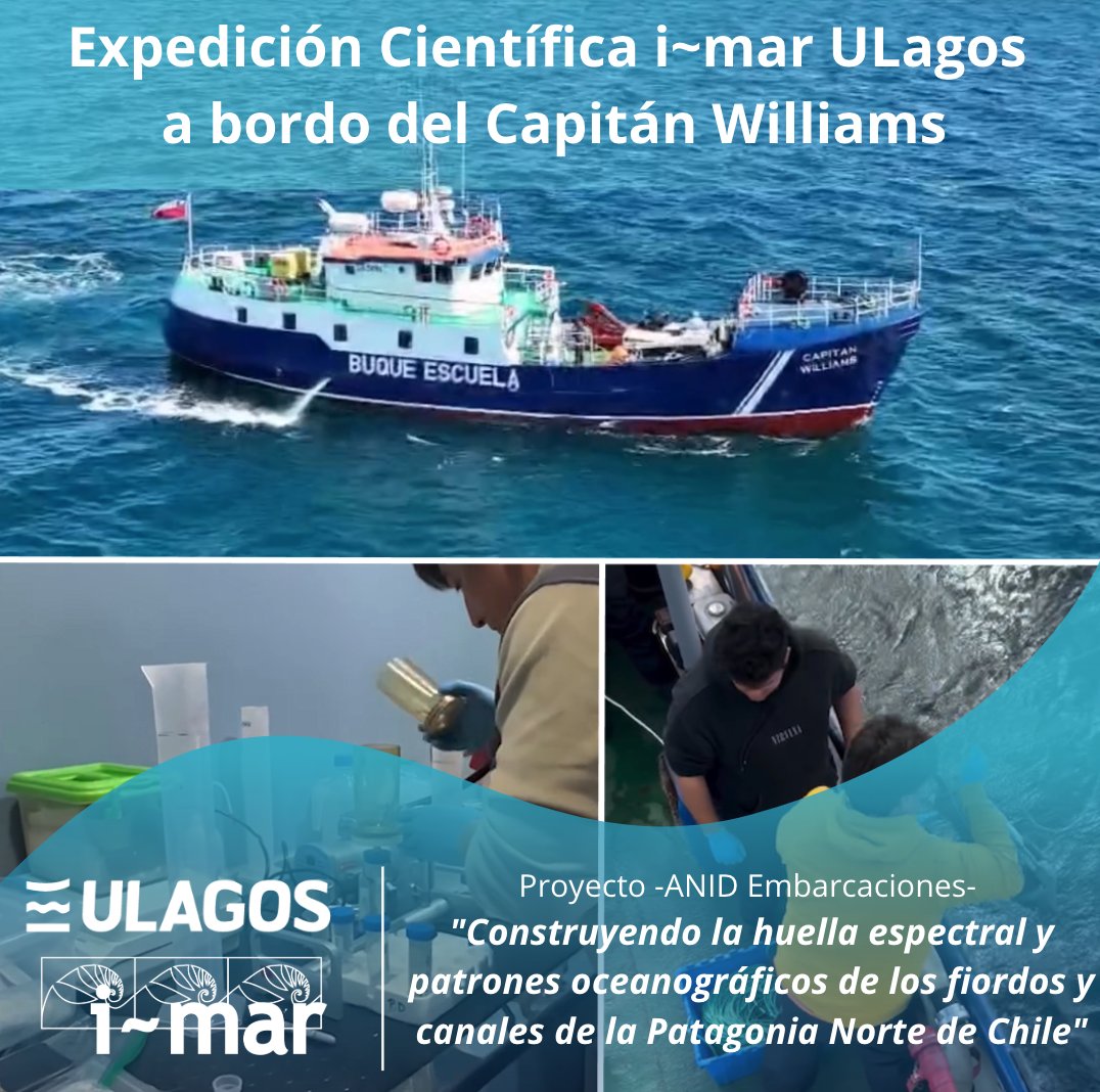 Centro i-mar tweet media