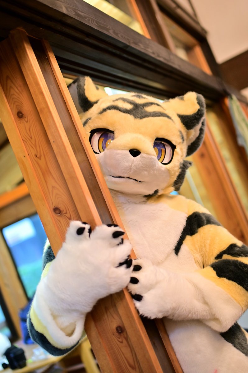 お出かけ？早く帰ってきてね...！

📷✨: ZEROさん(<a href="/ZERO1536/">ZERO</a>)
#FursuitFriday