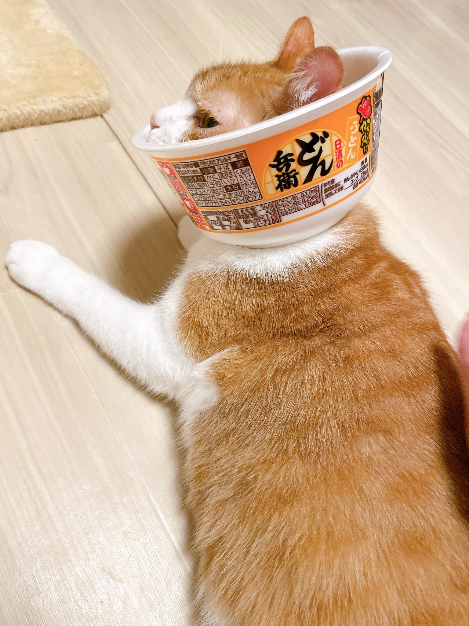 きなこ (@9i_7a_5o) / X