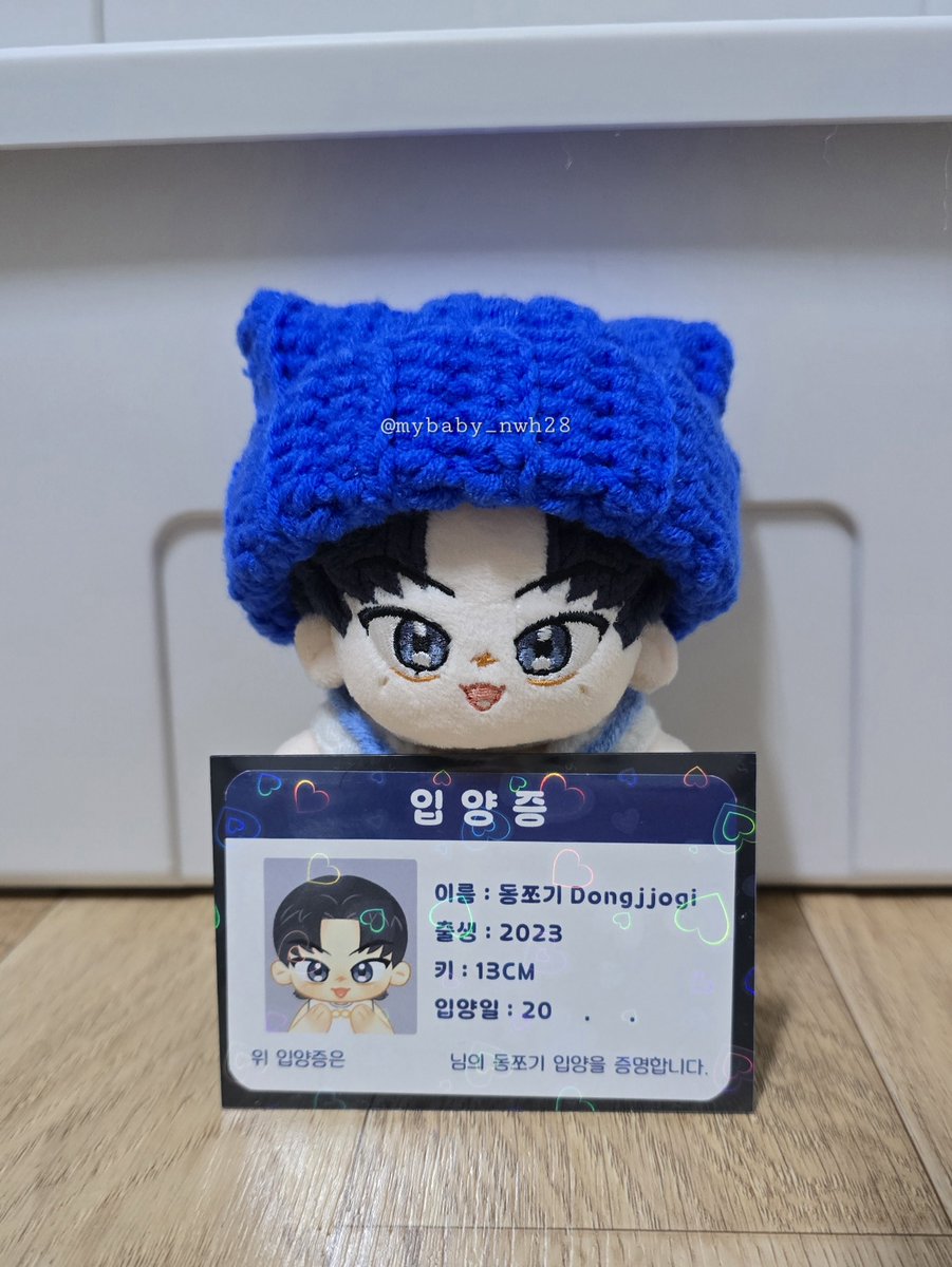 새로운 아가를 입양했어요 ~ 🐿

#동쪼기 #동우