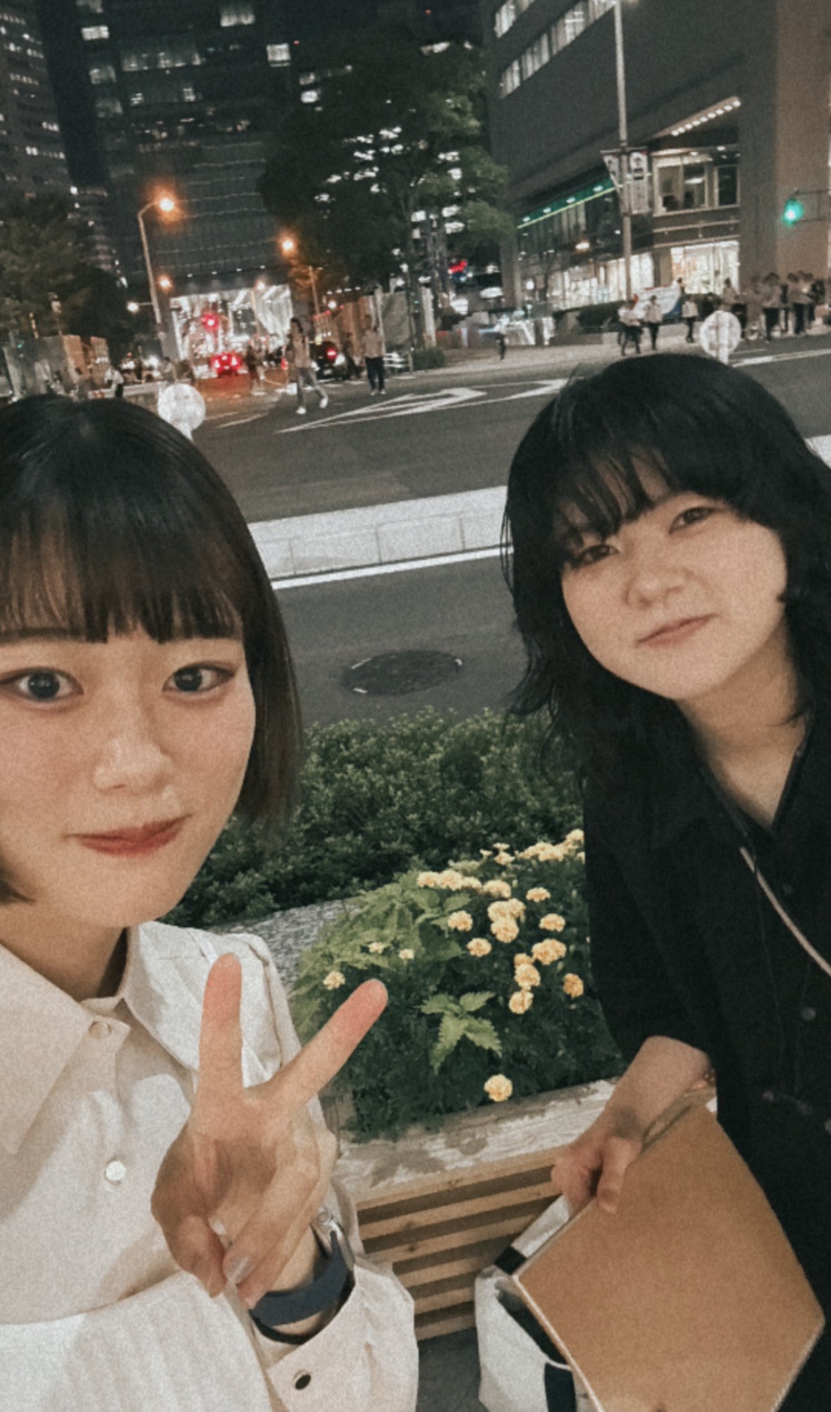 見たことある子 瞬足 JB-143 ピンク｜「いないいないばあっ!」コラボモデル