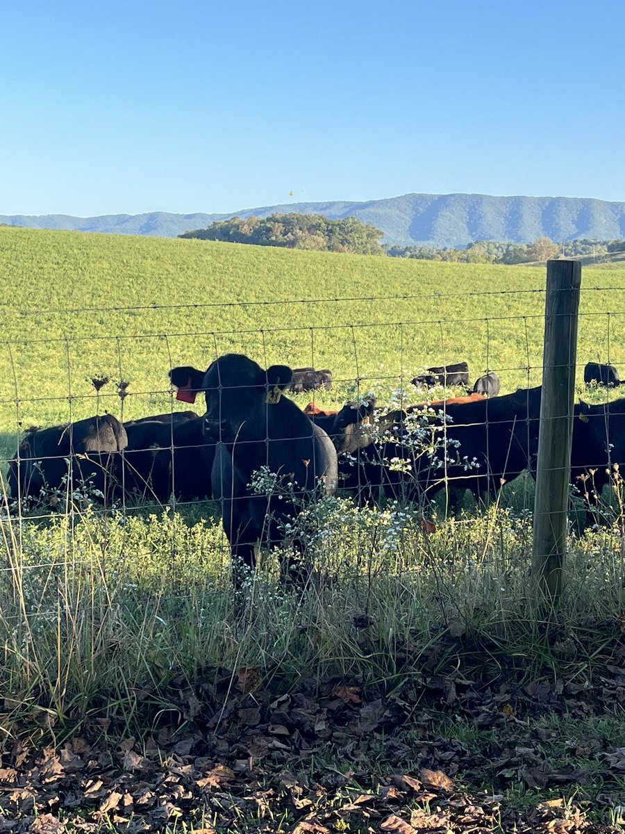 Bill Hartley tweet media