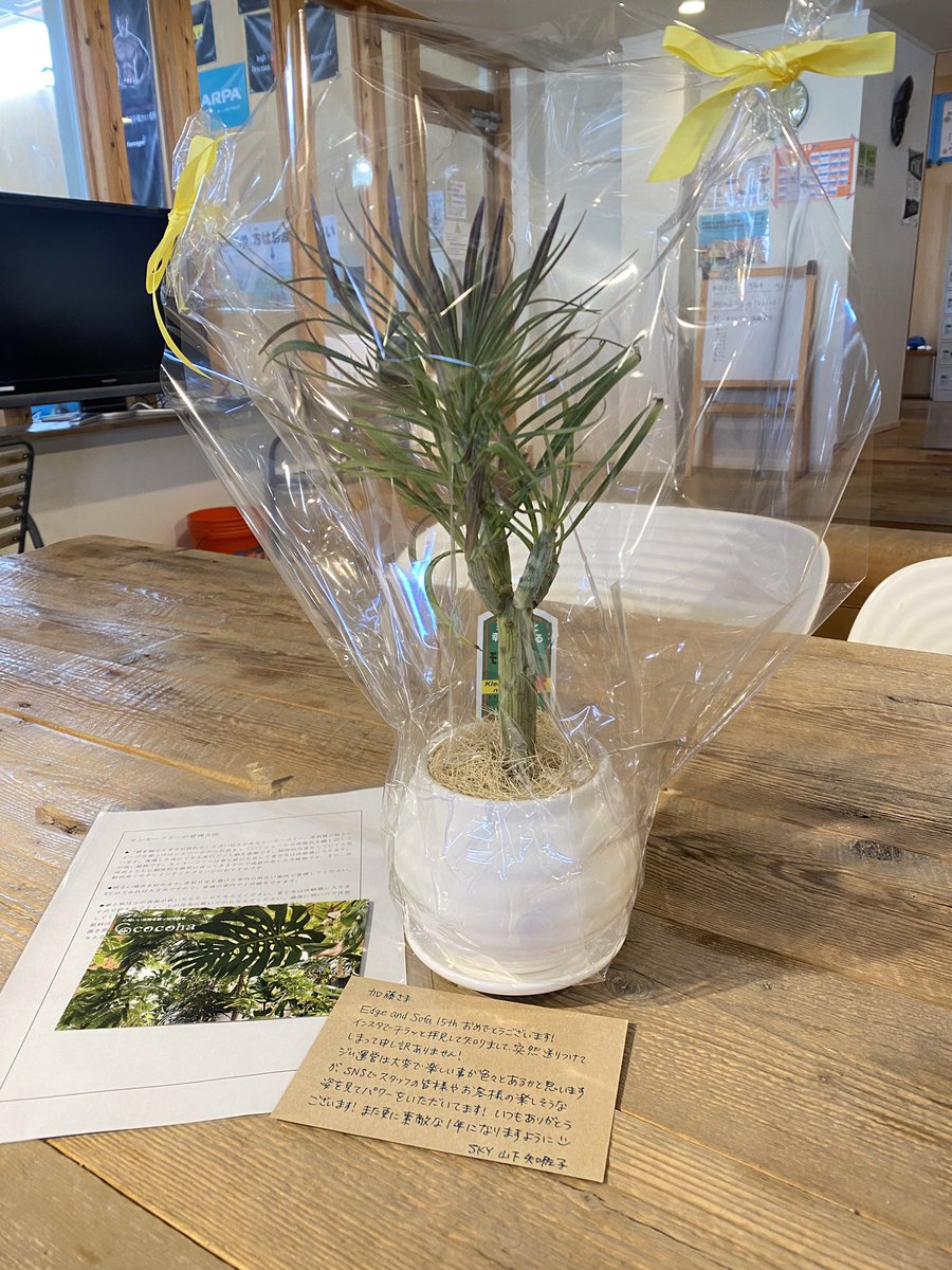 Takaaki_Kato (@EAS_Kato) / Posts / X