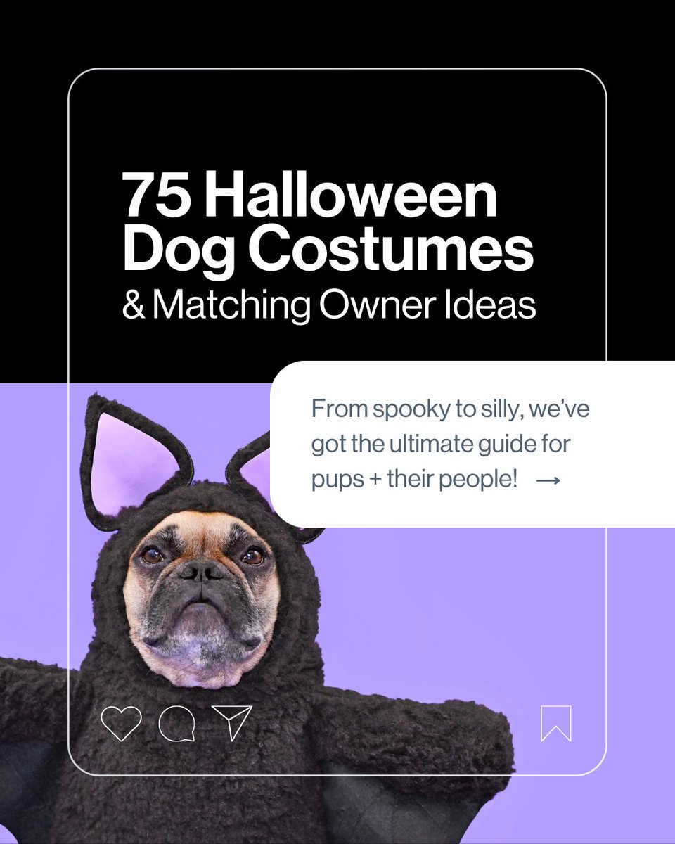 👻 Your dog’s Halloween look deserves to be legendary! From spooky to hilarious, we’ve rounded up 75+ costume ideas (with owner matches!) for 2025. 🎃

🐾 Dive into the ultimate guide:
👉 tinyurl.com/33ua68f5

#DogHalloween #PetCostumes #DogsofX