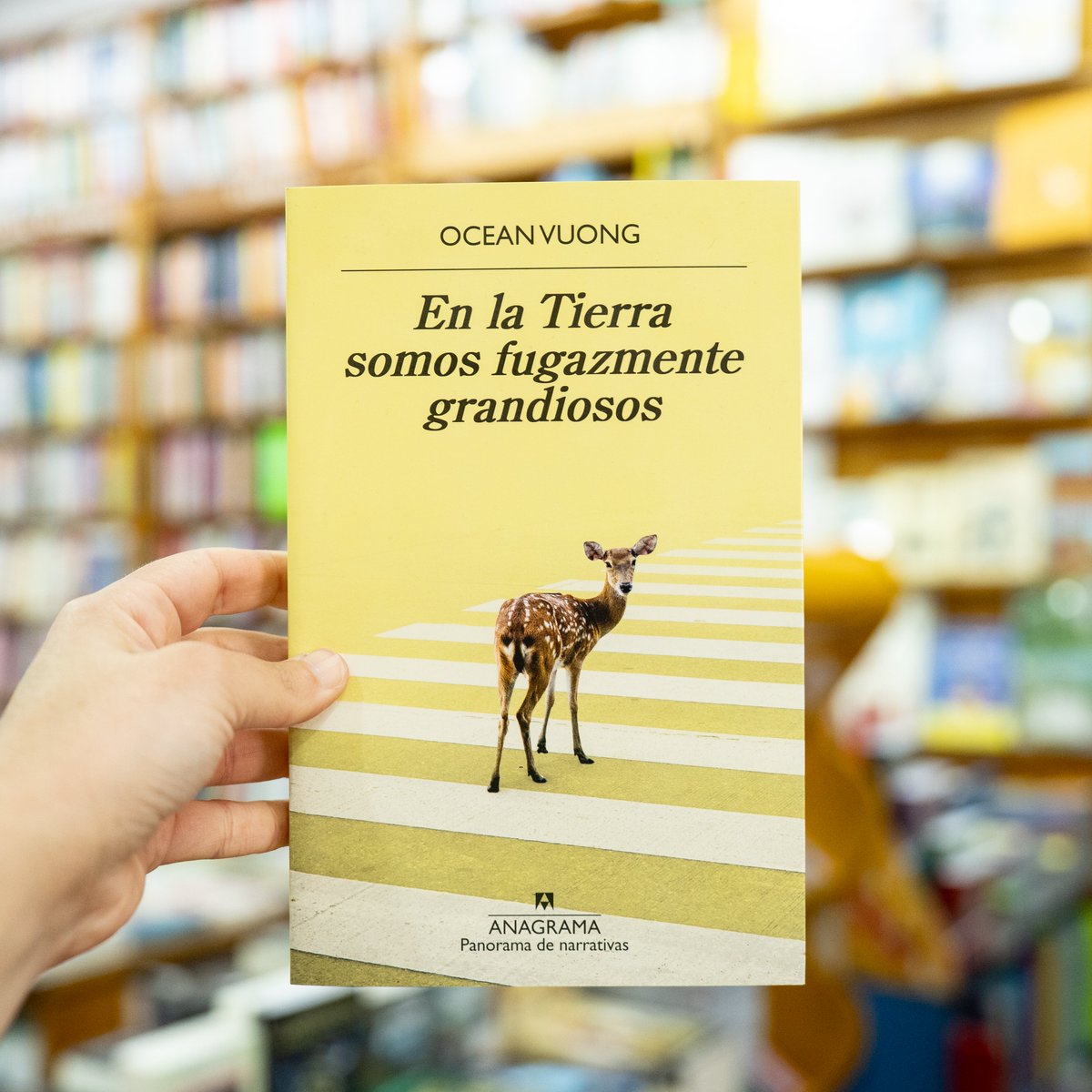 Sólo una muestra de las novedades imperdibles que vas a encontrar en la librería este mes, además de joyas agotadas que regresan 🥰

libreriahernandez.com