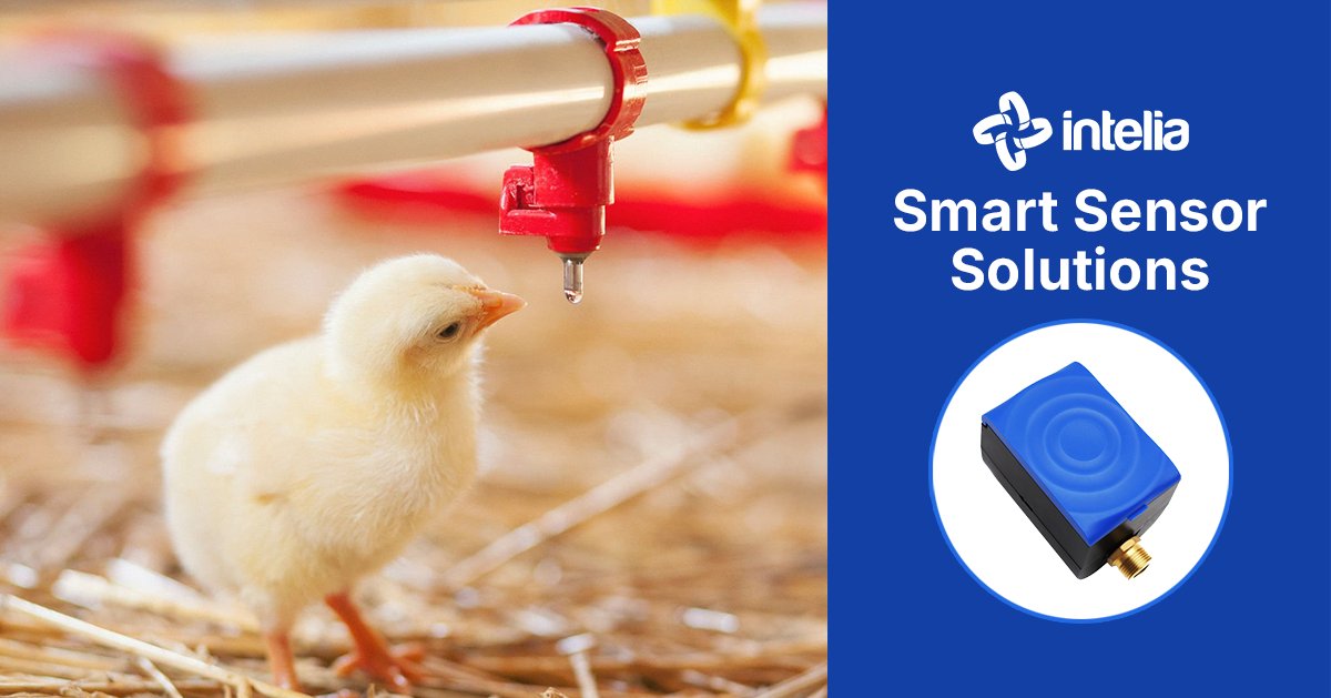 intelia.com tweet media