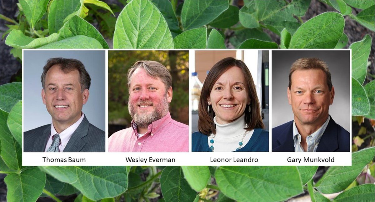 The ISRC is excited to announce it's funding four soybean research projects. Read more >> iowasoybeancenter.iastate.edu/news/2025/isrc…   <a href="/IowaSoybeans/">IowaSoybeans</a>  <a href="/IAStateResearch/">Iowa State University Research</a>