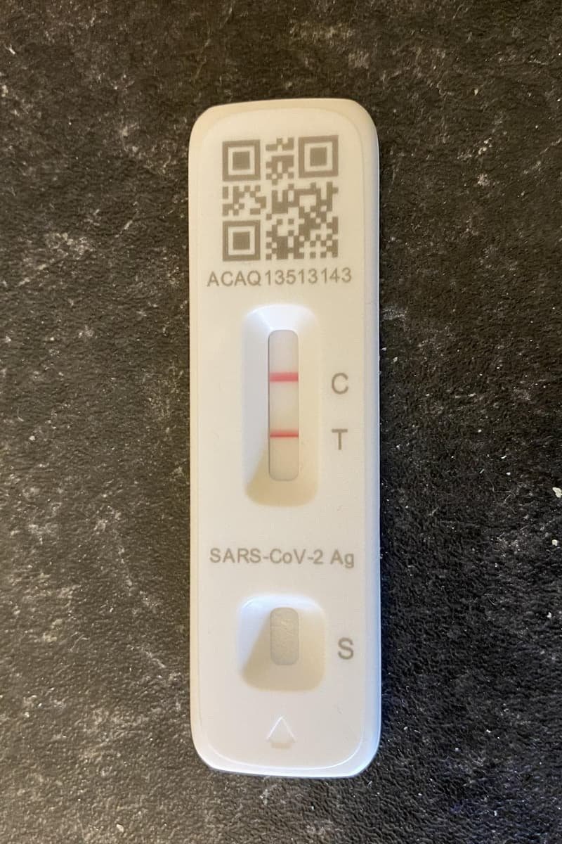 Silversmeasures's tweet image. Oh, come on..seriously 😱😱
Looks like I will be binge watching #Cobrakai and #TIG movies 🎬 in-between sleeping 😴 for the next few days or so 😊.

Come on, life give me a break 😪 #Cough #Aches #Headache #Sweats #CovidSucks