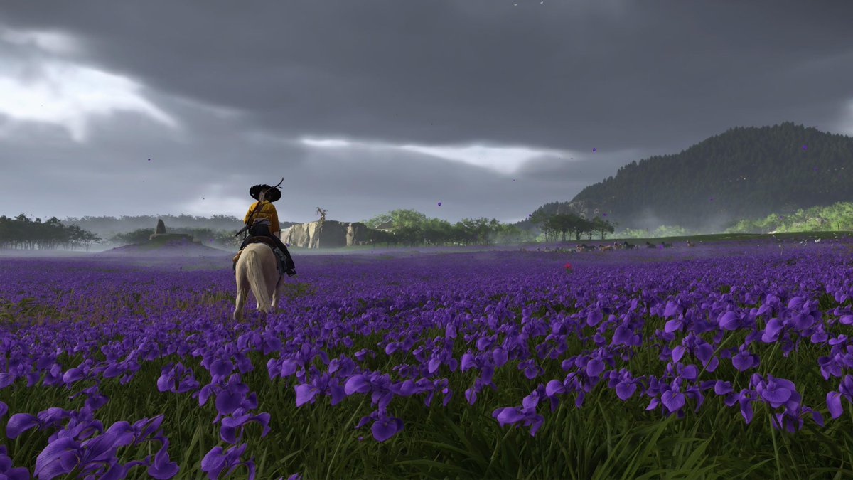 am4nsingh's tweet image. Some colors of Yotei #GhostOfYõtei