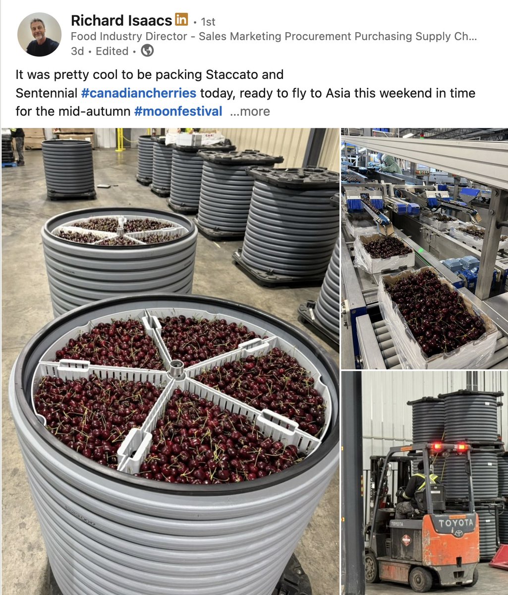 SCENE on LinkedIn: Richard Isaacs, Global Fruit, flags the record cherry season in British Columbia and importance of export market in China. He's on a plane to oversee shipment in time for Oct 6 mid-autumn festival. <a href="/growernews/">The Grower</a>