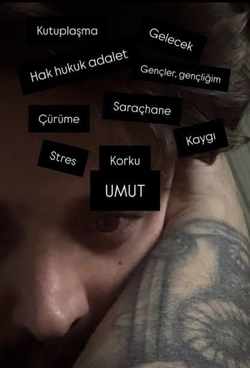 Sshsjxhd tweet media