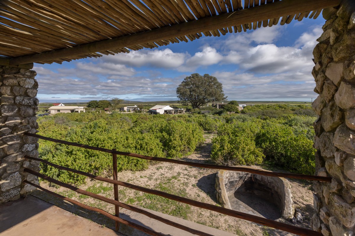 Glamping with us! 🏕️
Double bedroom + en-suite, kitchenette, sleeper couch &amp; private braai patio under the stars 📷.  

Click the link to discover the jewel of the West Coast thalithali.co.za.

#ThaliThaliGameLodge #WestCoastWay