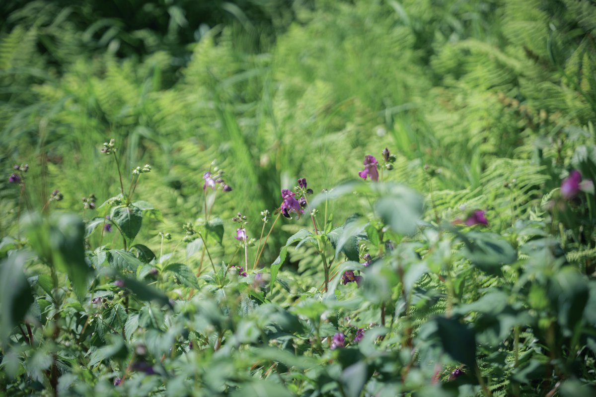 カメラ活動1018日目

小さくても夢中になれば、
それはいずれ視界で捉えきれないほど大きな何かになるかもしれません。

LUM/X S5
S24-105