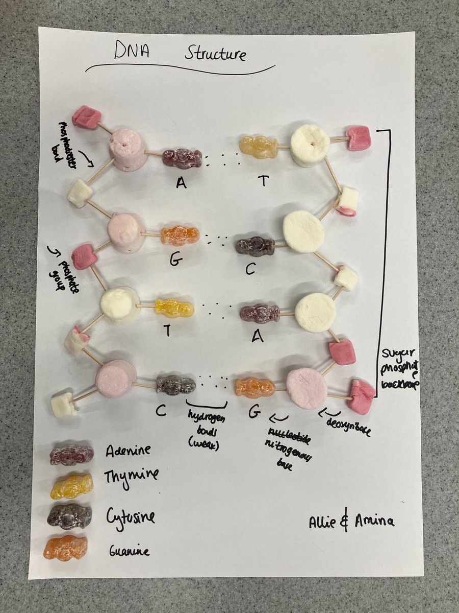 Chetham's Science tweet media