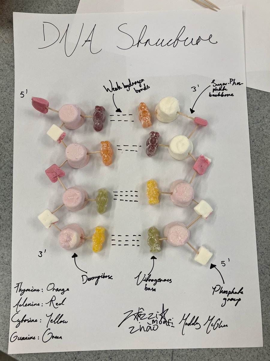 Chetham's Science tweet media