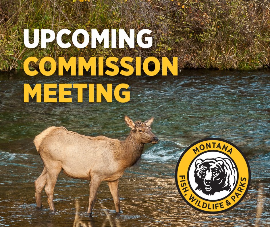 Montana FWP tweet media