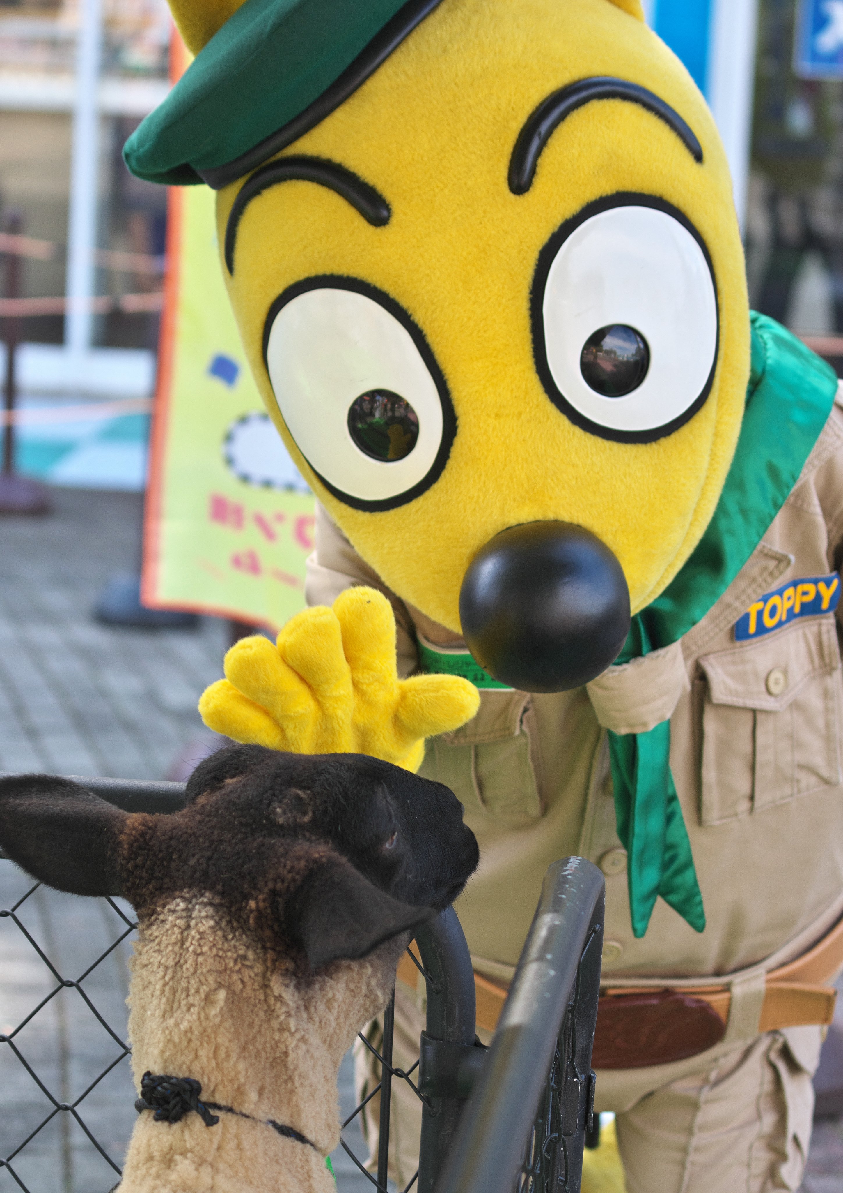 ﾎﾟｯｷｰ - Search / X