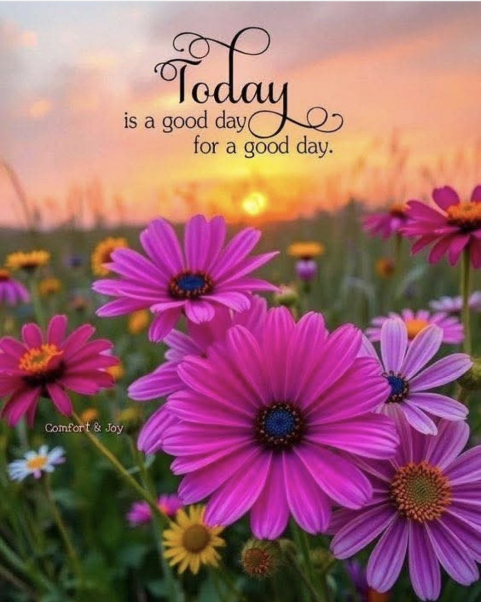 FreeMyself2023's tweet image. 