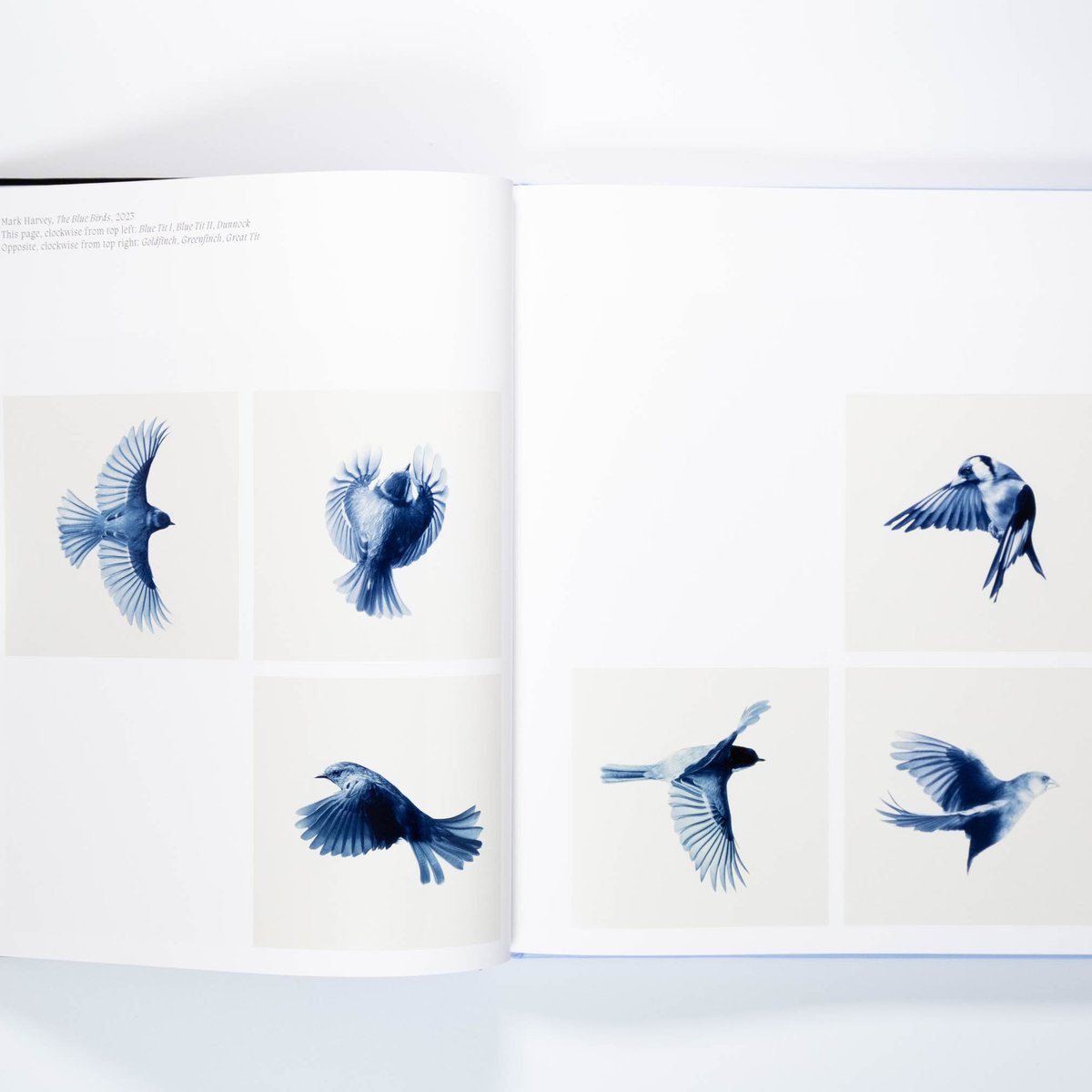 洋書、美術書他 英語美術洋書 池大雅と徳山玉瀾：日本水墨画の大家 【Ike Taiga