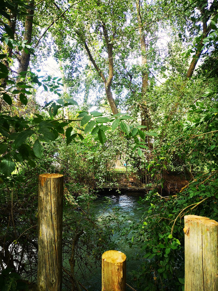 El campo no otoña todavía y lo voy echando de menos: laacequia.blogspot.com/2025/10/pendie…