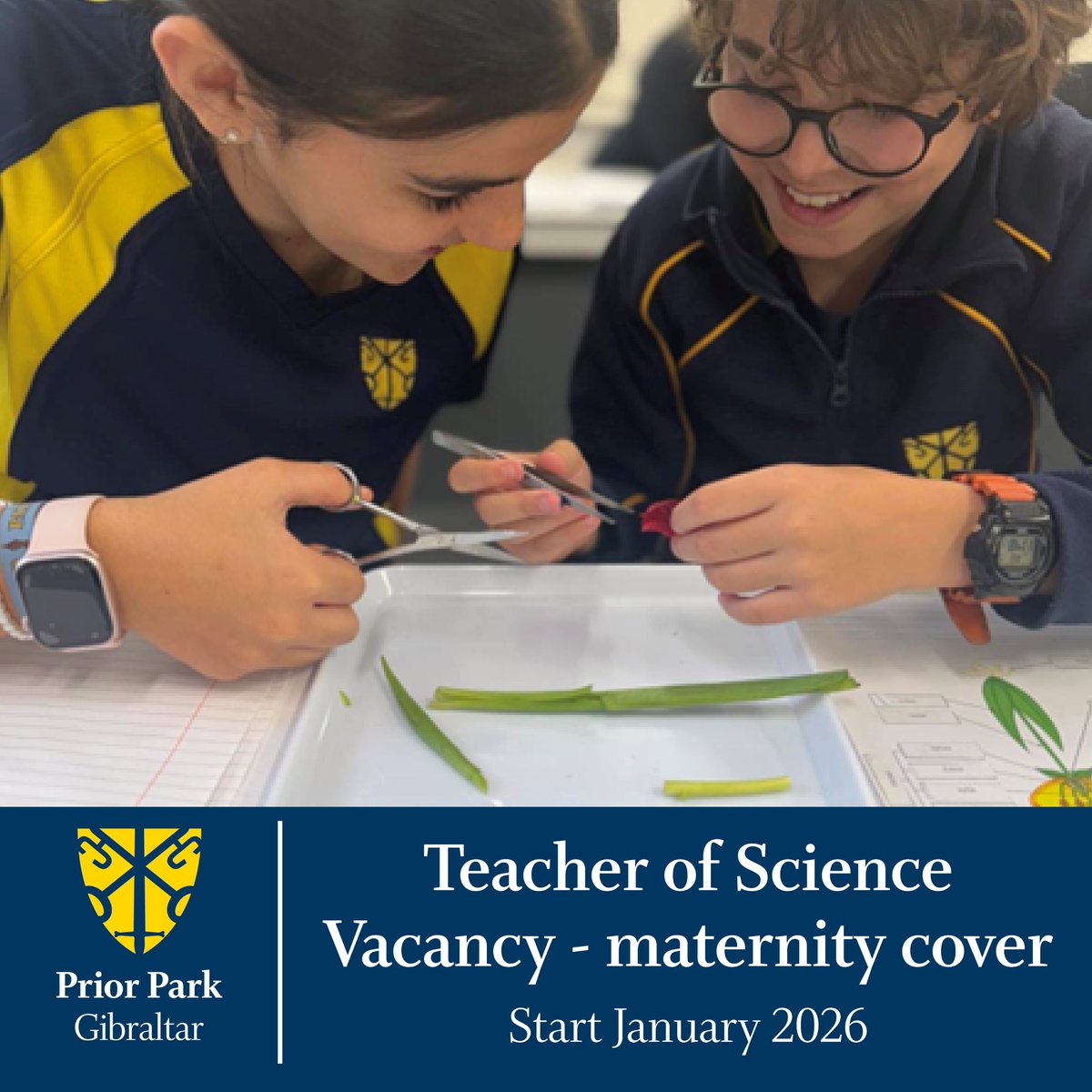 PPS_Recruitment's tweet photo. Opportunity for an inspirational Teacher of Science, #Biology, #Physics or #Chemistry specialism to join the team @PriorParkGib  

Teaching to GCSE Physics, Biology &amp; Chemistry and teach up to A Level in their specialist subject

https://t.co/QkyxnZGiom
 
#Gibraltar #Science https://t.co/U2hZ9T7Z8n