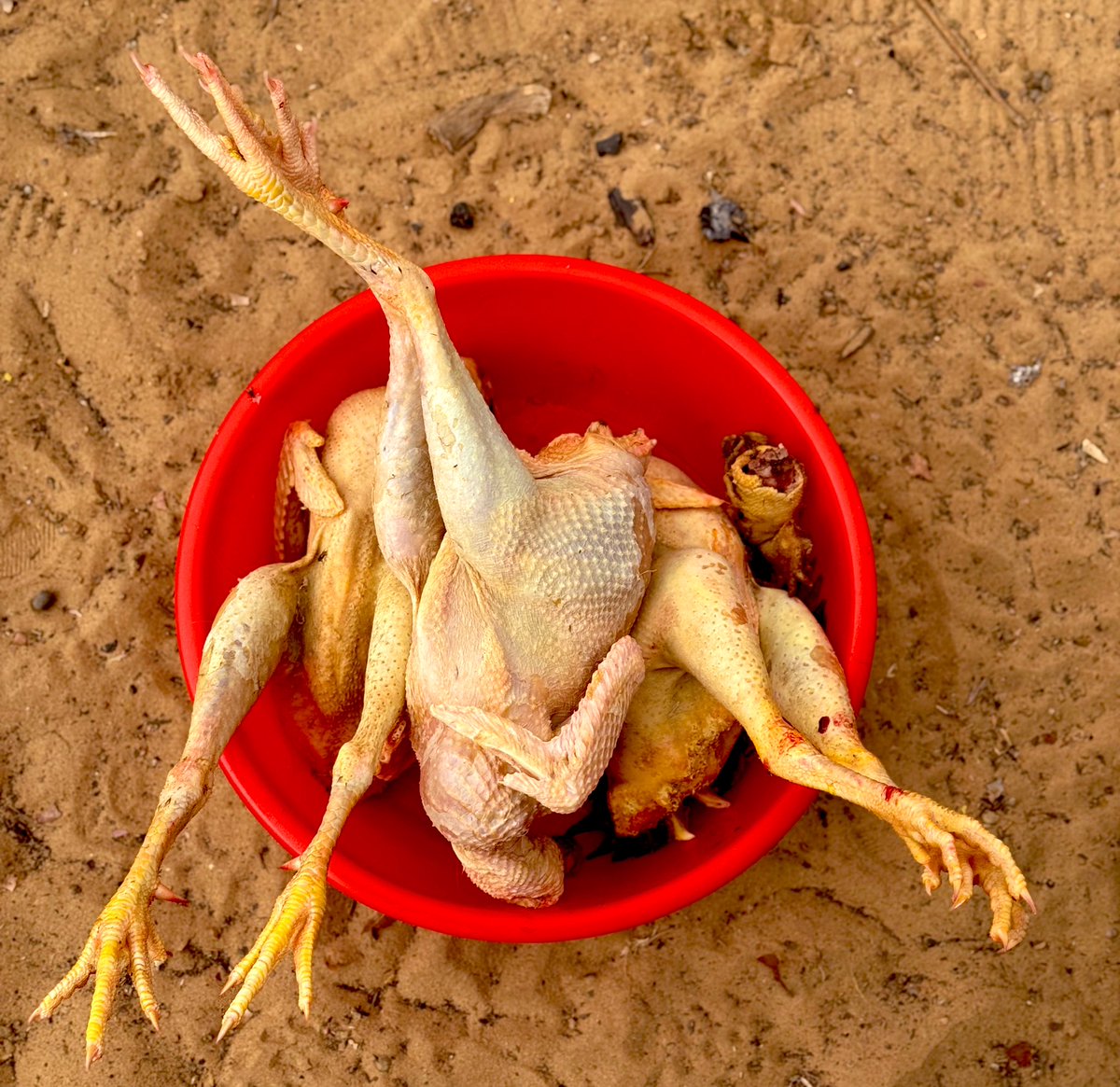 #IAmThatIAm tweet media