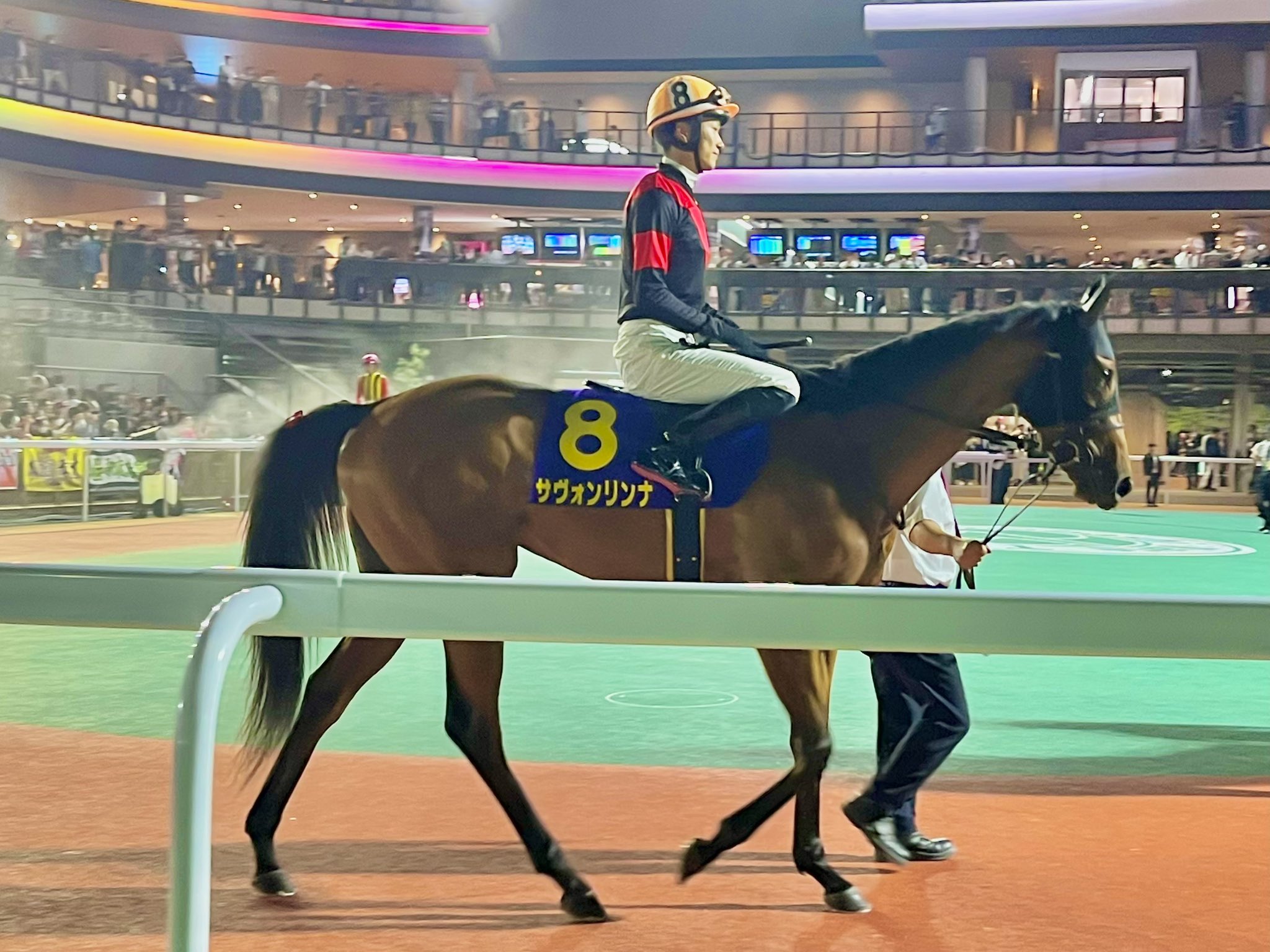 サトノダイヤモンド 新馬戦〜天皇賞・春 ２歳から４歳国内全１０戦現地単勝馬券 こぐま on X: 