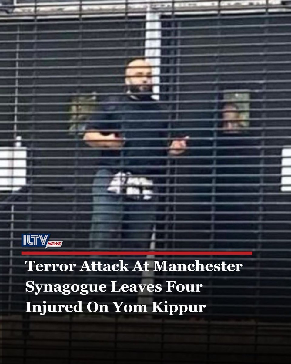 ILTV Israel News tweet media