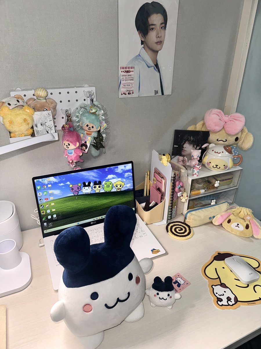 b2sideu's tweet image. 흰색뚱땡이 생겼어요🤍🤍