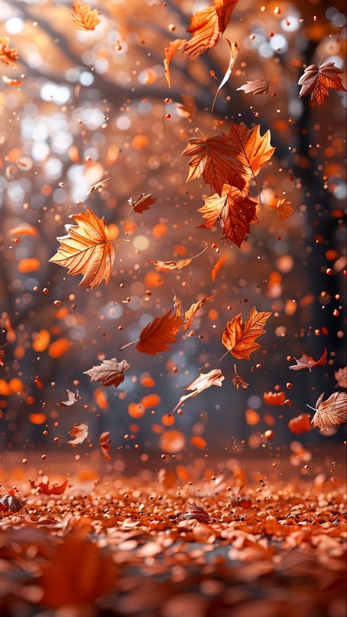 _ui1422's tweet photo. In autumn time 
The fairies sit upon the leaves so patiently 
Until the time .. the wind comes by 
And sails them from the trees.

Laura Jaworski https://t.co/rKA47oEQj9
