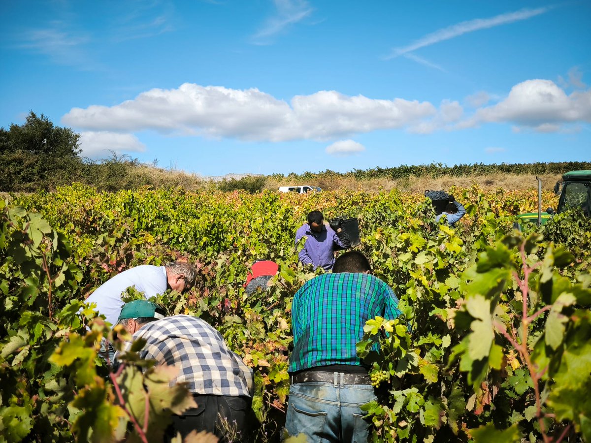 Altos de Rioja tweet media