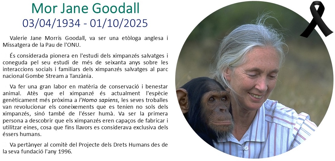 COBIB (@cobbalears) on Twitter photo 