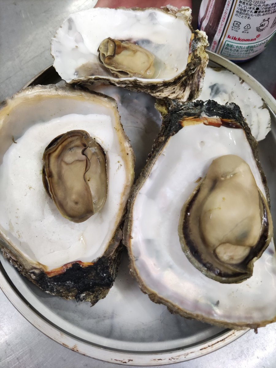 先輩が牡蠣採ってきた！
美味い！！