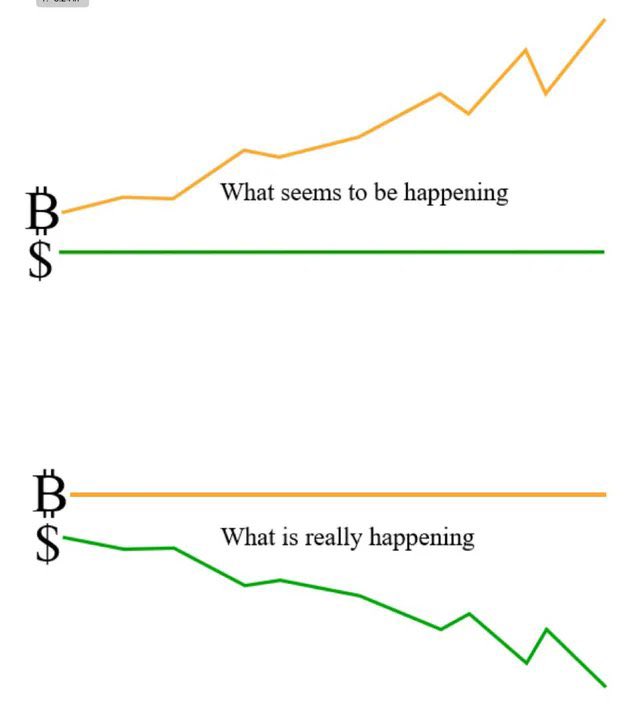 bitcoinlifter's tweet photo. https://t.co/JJp4HQ1rX9