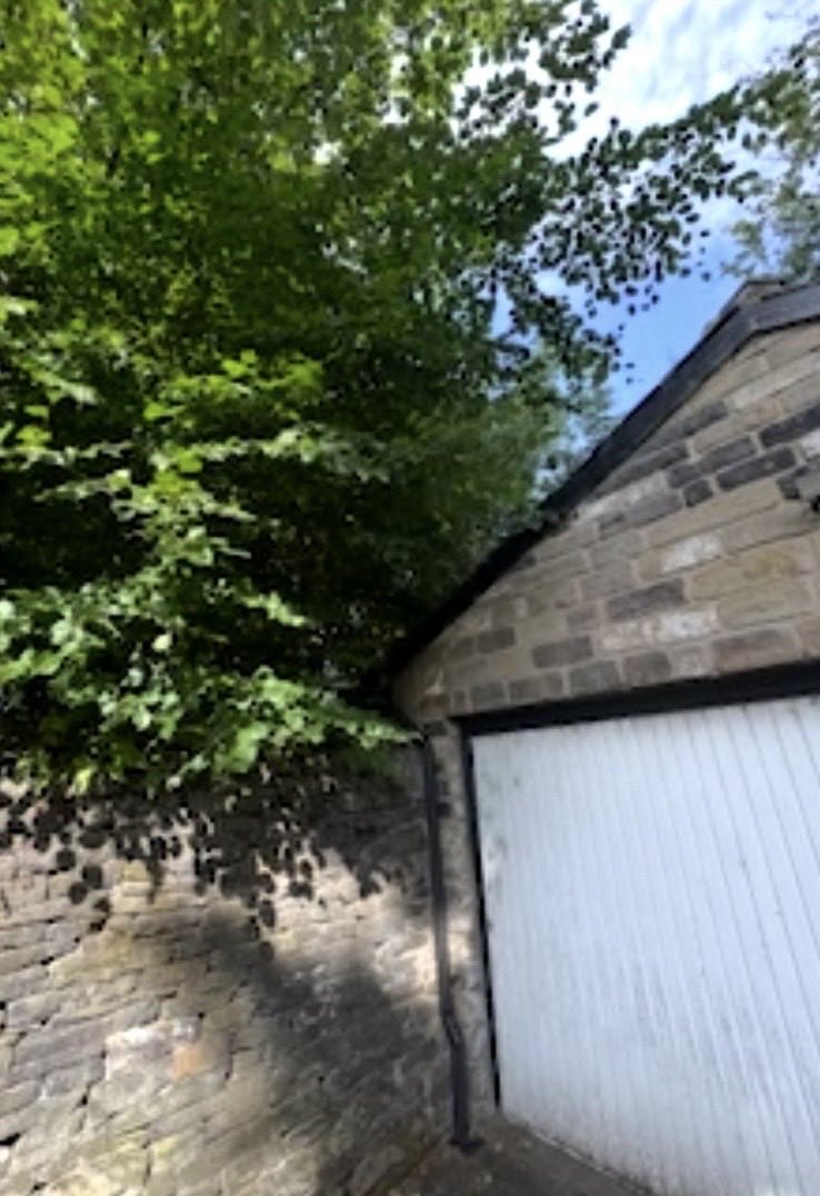 ArielTreeCare's tweet photo. Sycamore and beech tree reduction. 

#arieltreecare #boltontreesurgeon #localtreesurgeon #hedgetrimming #treepruning #professional #qualifiedtreesurgeon #treeservices #treecare 

https://t.co/52nBMrOXlm https://t.co/VWfmQjxGZV