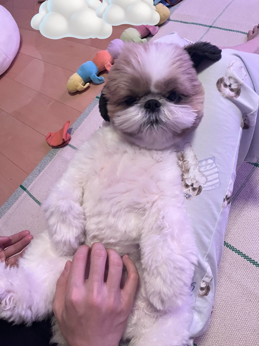 ｱｶﾁｬﾝ