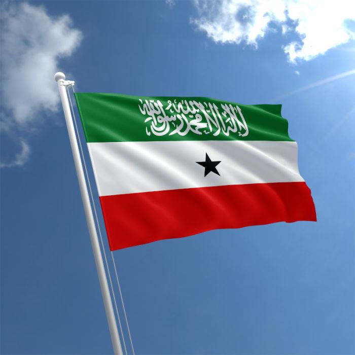 The President of the Republic of #Somaliland draws attention to a crucial feature of the national approach to Islamic thought:

“We are genuine Muslims who are guided by principles that prohibit transgressions against neighboring communities or among themselves”.

<a href="/Somaalilanders/">Somalilanders</a>