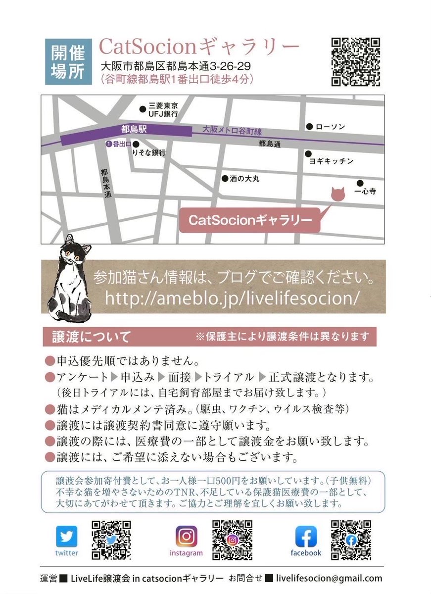 10/4(土)リブライフ譲渡会参加猫
大阪市都島区　13〜16時まで
予約不要、参加費あり

⑰ぼたん、メス、2歳

人慣れも進んでなでなでも大好きです。スリスリ甘えてくれます。小柄で女の子らしい黒猫さん。

以上参加猫のご紹介でした。