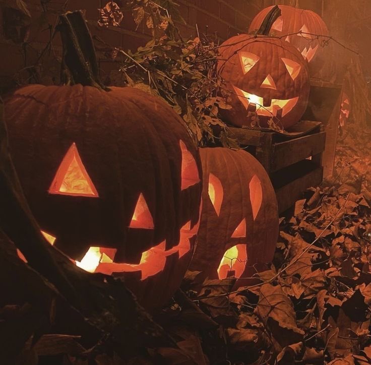 swiftdreamscape's tweet image. looking for moots 🎃 spooky edition

🦇 favs: taylor swift, ariana grande, sabrina carpenter, tate mcrae, pinkpantheress, chappell roan

🕸️ interests: horror movies, marvel, dc, harry potter, anime, gaming

🕷️ like / rt to be moots · ifb
#stantwt #promotwt #moothunt