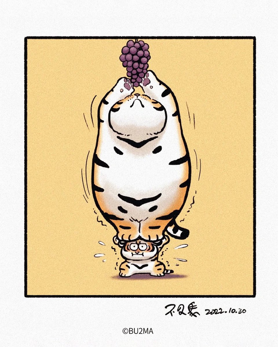 Archie: This house would’ve fallen apart without me.

#AlexandertheFatTiger