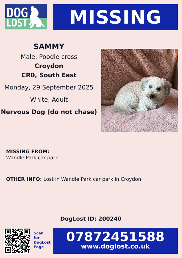 MissingPetsGB's tweet image. Still no sightings reported of SAMMY😔

Please help reunite Sammy with his owners. Please repost and share with communities near Sw16/sw17&amp;amp;Cr0. 

#Croydon #london 
Missing dog lost near Wandel Park.  Last seen running on Tylecroft road.