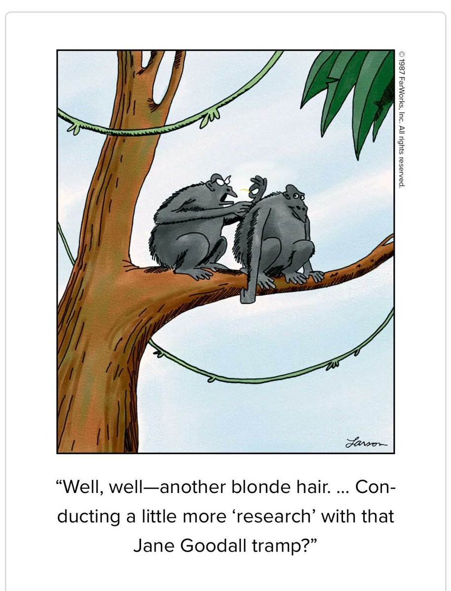 @ianjkeddie.bsky.social Ian Keddie 🇺🇦 (@ianjkeddie) on Twitter photo 