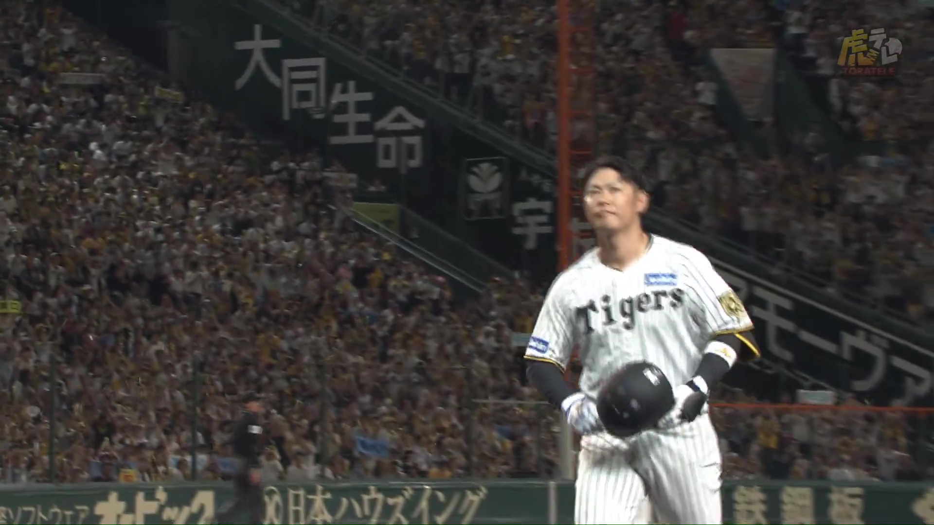 kzy 4484←勝負勘0バカ (@4484Kzy) / X