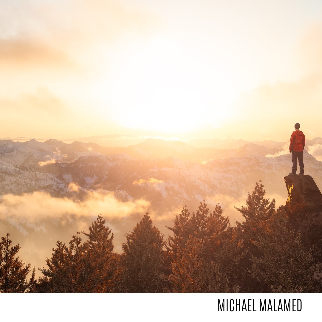 Michael Malamed tweet media