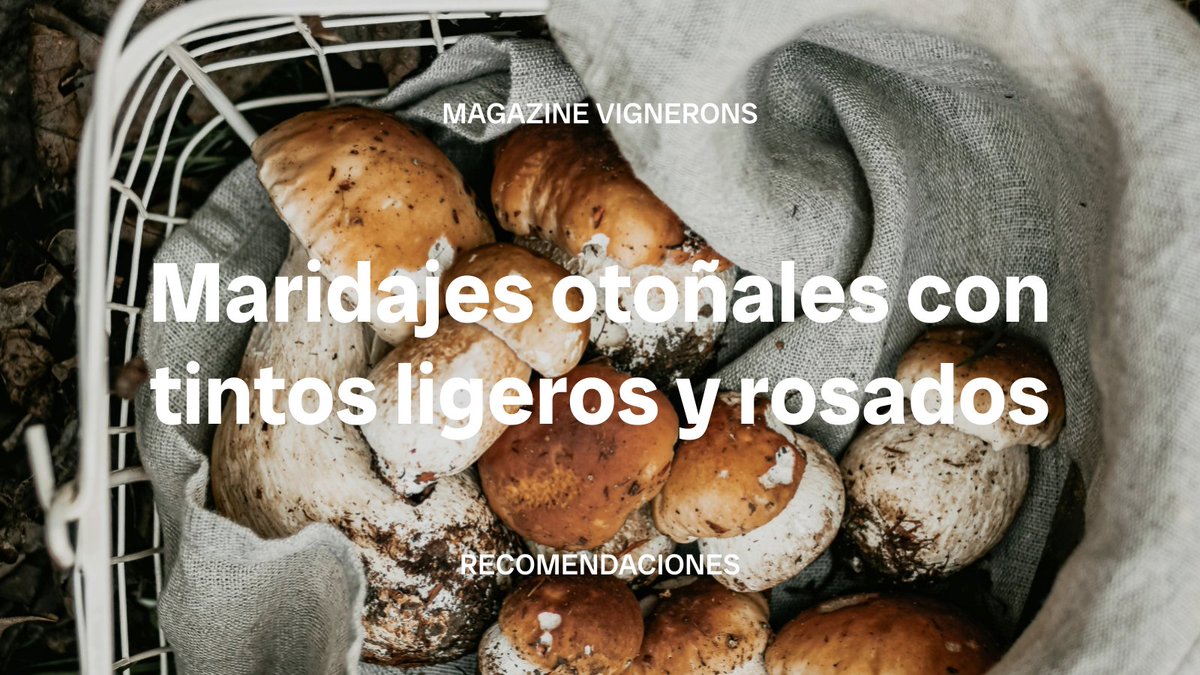 Bodeboca tweet media