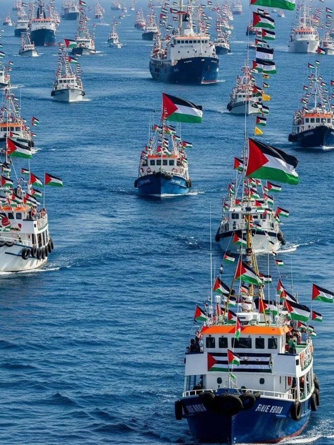 🔴 Cumhurbaşkanı Erdoğan: 

Sumud baskınını lanetliyorum.  

Filistinli kardeşlerimizi yalnız bırakmayacağız.